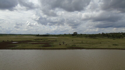 Fototapeta premium clouds over the river