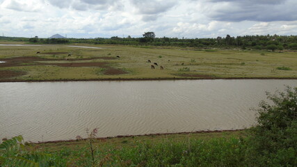 landscape with river