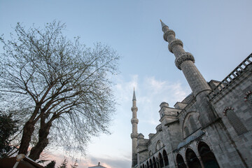 Fototapeta na wymiar Blue mosque in Istanbul Turkey