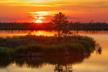Sunset at a swamp