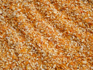 dried corn seed for background, corn for animal feed
