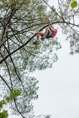 Naklejka na ściany i meble young man in a tree climbing park