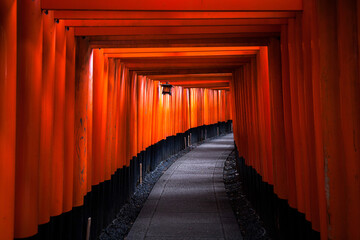 Fototapeta premium Fushimi Inari Taisha, Japanese shrine in kyoto japan