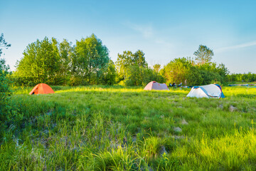 Tent camp camping at sunset on green grass field in forest