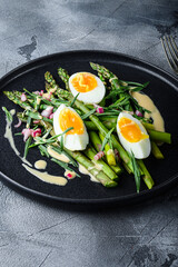 Asparagus with eggs and french dressing with dijon mustard, onion chopped in red vinegar  taragon on grey textured background, side view.