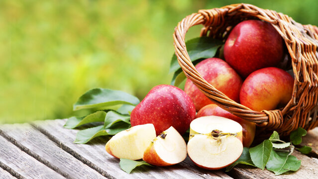 Red fresh apples in basket, banner, header, headline