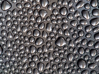 Water drops on the transparent surface