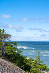 Forest coastal landscape on sunny summer day