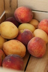 Ripe peaches and apricots in a wooden box