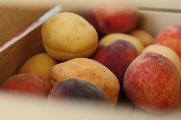 Ripe peaches and apricots in a wooden box