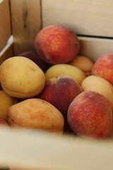 Ripe peaches and apricots in a wooden box