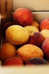 Ripe peaches and apricots in a wooden box