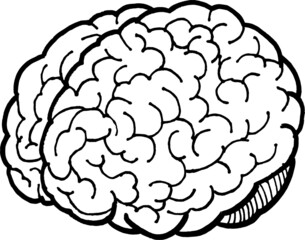 Linear hand drawn illustration of human brain for logotype or banner / design template