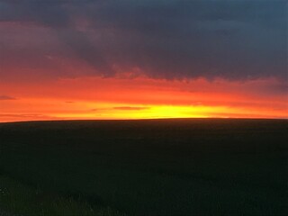 sunset over the field