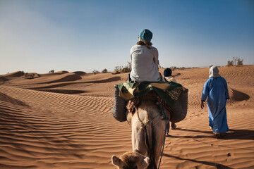 Wycieczka wielbłądami na pustynię © Miroslaw