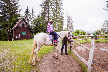 Horse on the ranch, beautiful horses on pasture, eating fresh grass ,countryside landscape