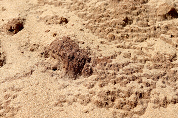 The texture of the sand. Desert landscape. Barren land.