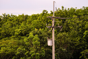 Top view of electricity pylon with green tree on sunset sky, Transmission line of electricity to rural with green nature