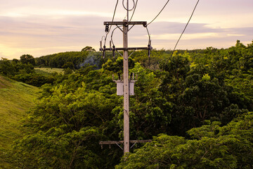 Top view of electricity pylon with green tree on sunset sky, Transmission line of electricity to rural with green nature