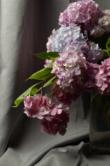 hydrangea on the dark background