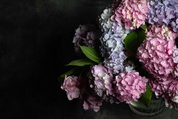 hydrangea on the dark background