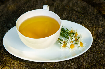 White Cup with Chamomile Tea on a Dark Background and with Fresh Chamomile Flowers