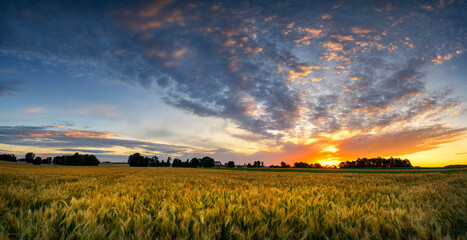 Beautiful Syummer Sunrise Over Fields