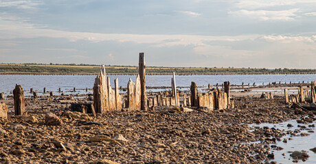 Wooden columns protrude from the kuyalnitsky estuary