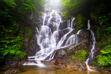 "Shiraito fall" waterfall in the forest