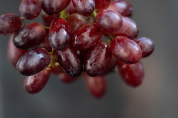 Wet red grapes on black background