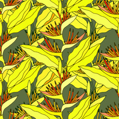 Seamless pattern of Heliconium plant. EPS10 vector illustration. Hand drawing. 