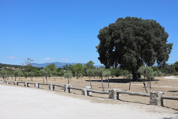 El Pardo, Rio Manzanares