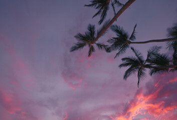 sunset in maui