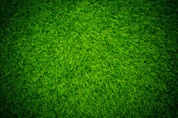 Obraz premium green grass background, football field 