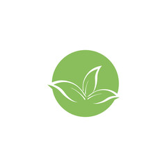 Eucalyptus leaves logo vector template