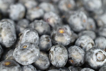 Ripe juicy organic blueberries, close-up.