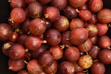 Obraz premium Ripe juicy organic agrus, close-up.