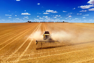 aerial view of a modern combine harvester in action ending harvesting a wheat field © ThomasLENNE