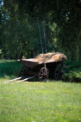 Old rural cart for hay on the grass