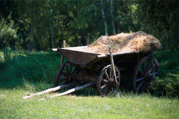 Fototapeta na wymiar Old rural cart for hay on the grass