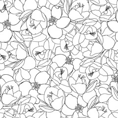 Freesia and apple flower seamless vector pattern. Romantic hand drawn line design for wallpaper, interior materials and fashion textiles. Minimal black and white colour combination.