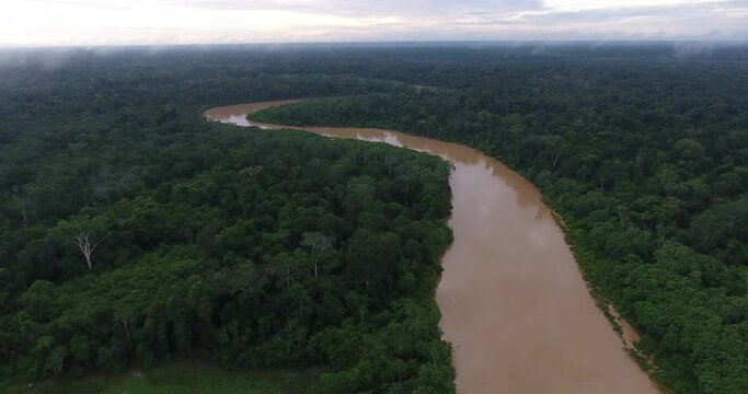 Larger River Between a Lot of Vegetation in the Amazon Rainforest with Tiny House in Pando / Bolivia -Shot in V-Log