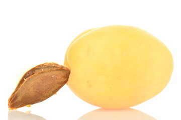 Ripe organic yellow apricot, close-up, isolated on white.
