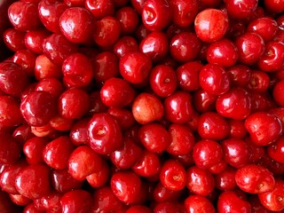 red cranberries background