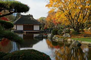 Fototapeta na wymiar Japanischer Garten Hamburg im Herbst