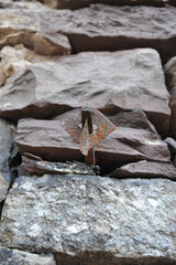 River Locks along Leigh River