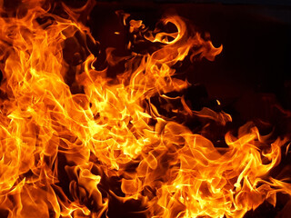 Fototapeta premium fire flames on black background. Closeup of campfire in the night