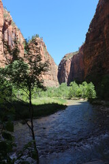 scenic Trails in Zion National Park, Utah