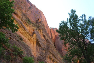 scenic Trails in Zion National Park, Utah