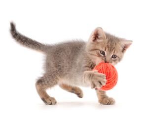 Little kitten playing with a ball of yarn.